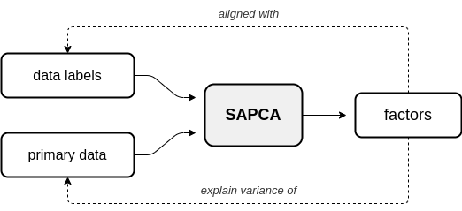 SAPCA diagram